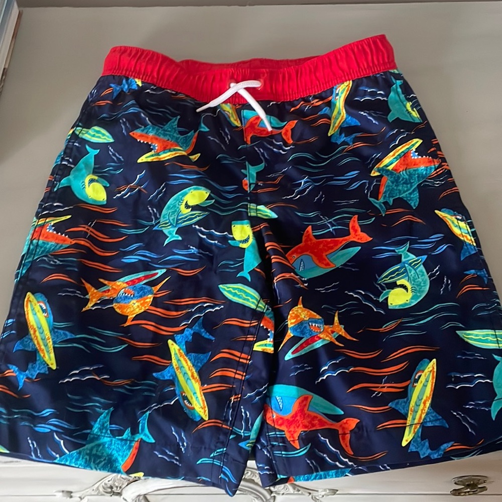 Boys Paid of Swim Trunks 10/12